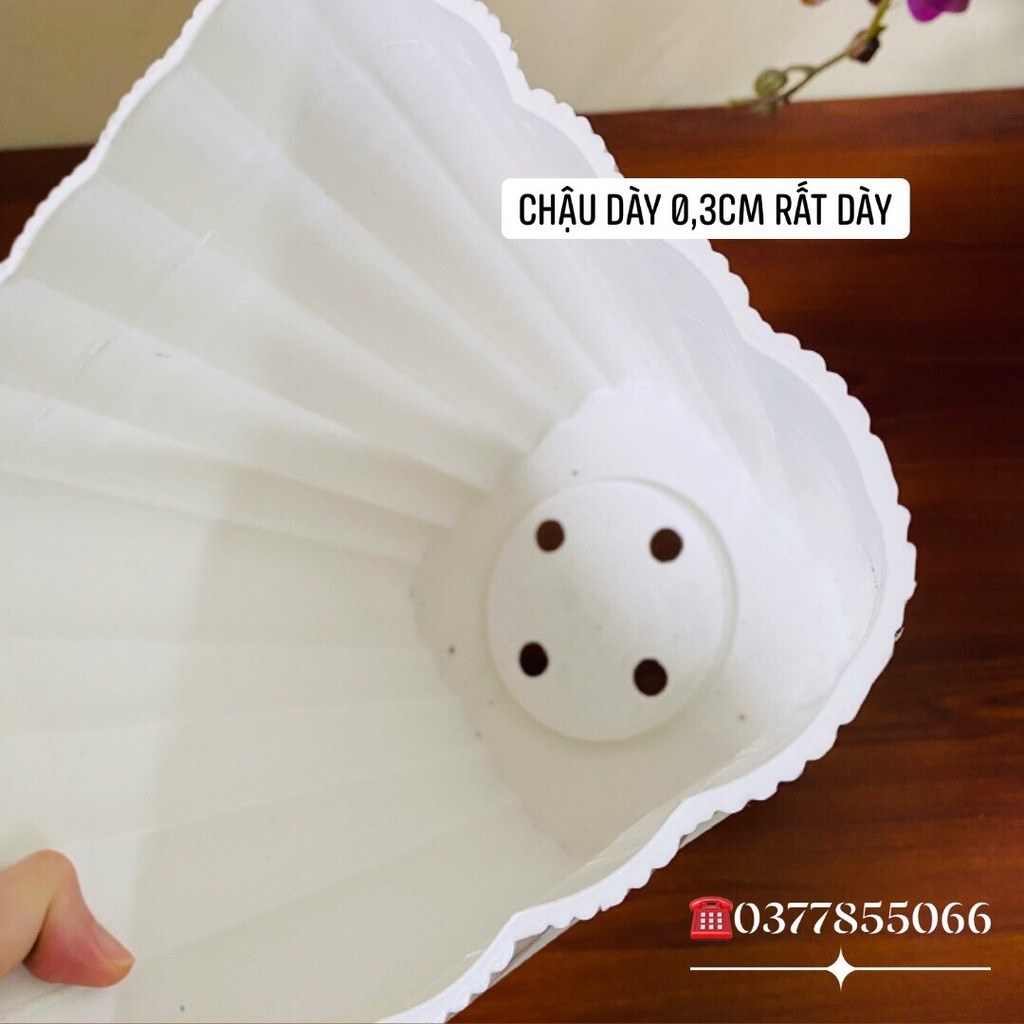 Chậu trồng cây hình vuông giả vân gỗ, bằng nhựa cứng dày 0.3cm, bền, chịu được nắng mưa cao, dùng 4-5 năm, size 22x22 cm