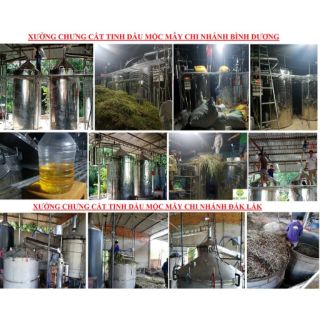 Tinh dầu bưởi chùm Mộc Mây