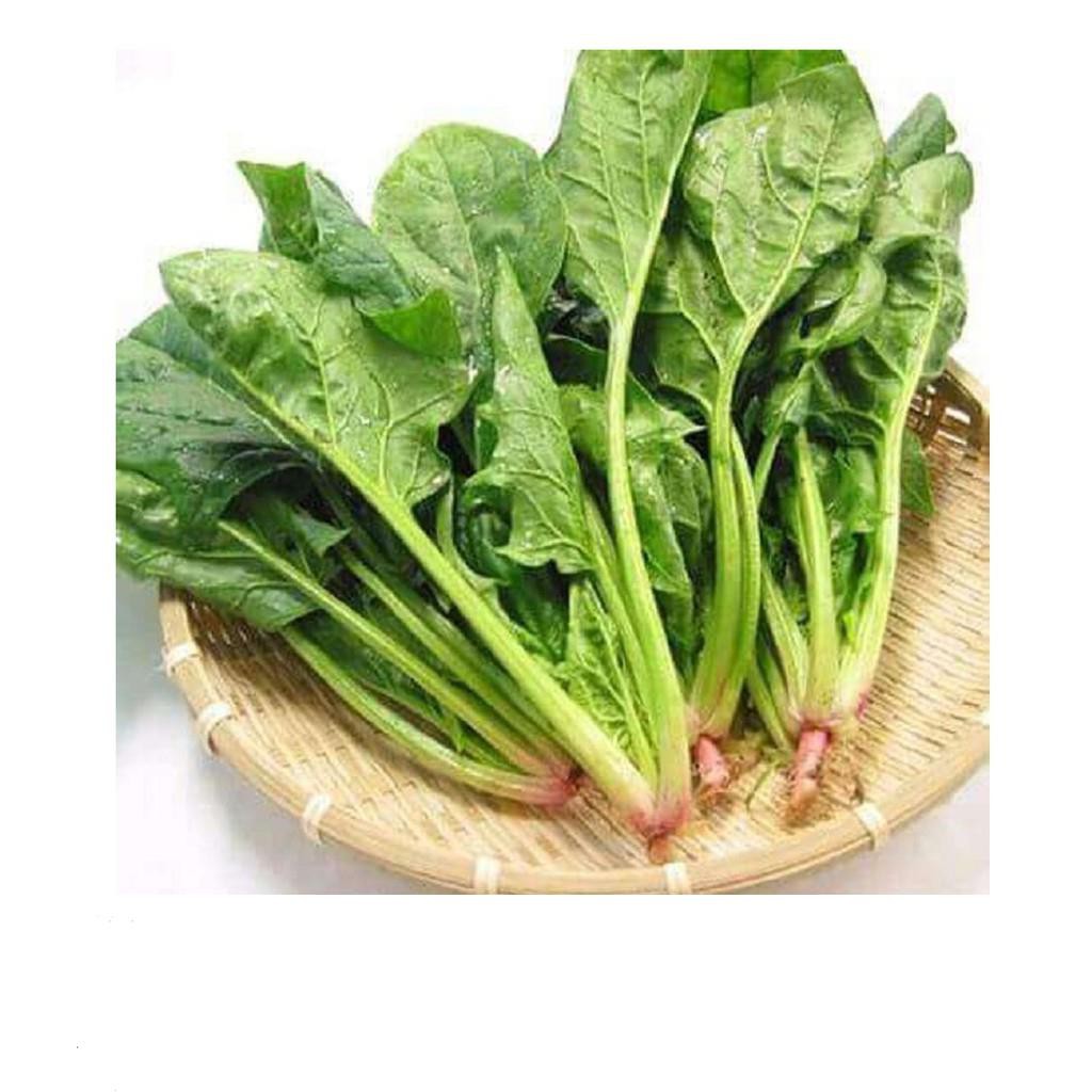 GÓI 100 HẠT GIỐNG CẢI BÓ XÔI 10g Hạt Giống Cải Bó Xôi - Chịu Nhiệt, Dễ Trồng  Rau Chân Vịt