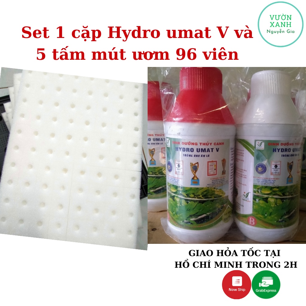 Set 5 tấm mút ươm hạt 96 viên + 1 cặp dung dịch thủy canh Hydro Umat V trồng rau ăn lá