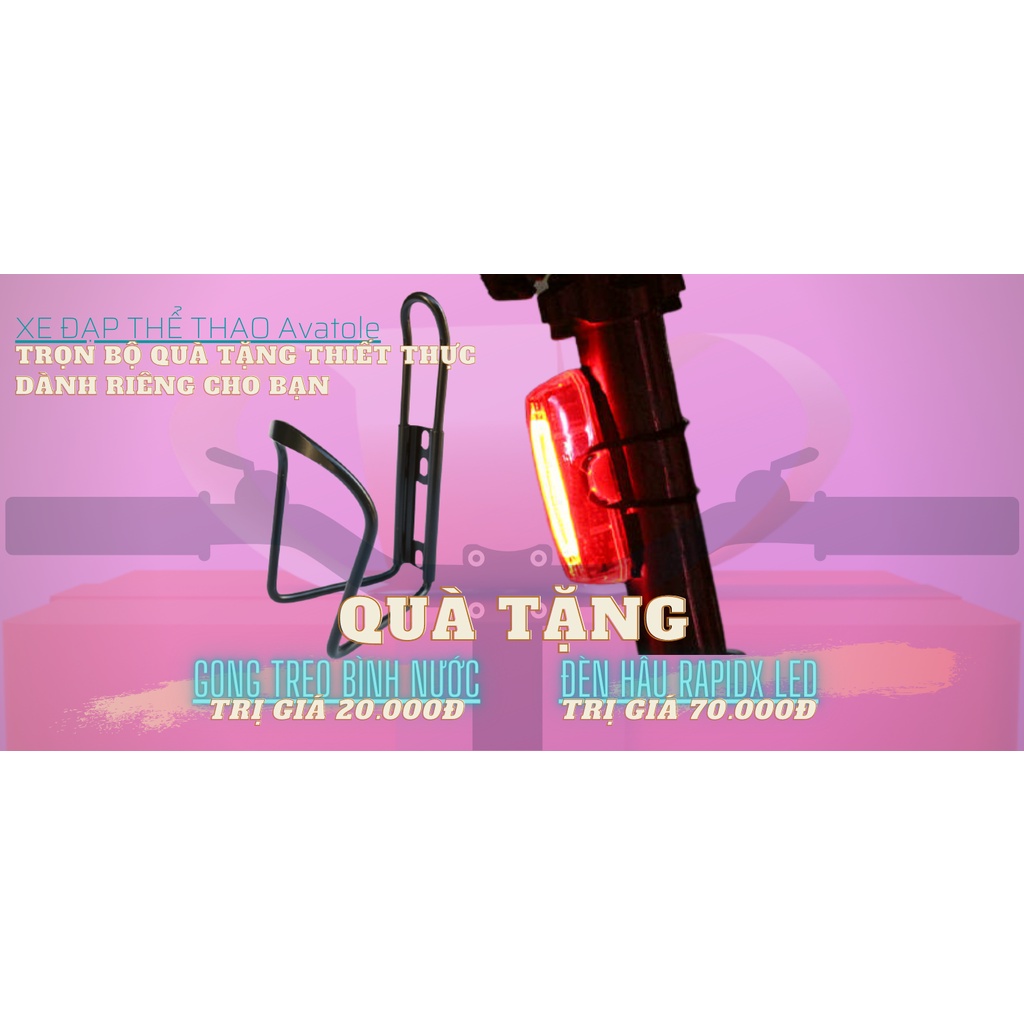 Xe đạp gấp FORNIX PRAVA NEW 2022, Khung sườn HỢP KIM THÉP cao cấp, Trọng lượng 12.5kg, Vòng bánh 20inches, Màu NÂU