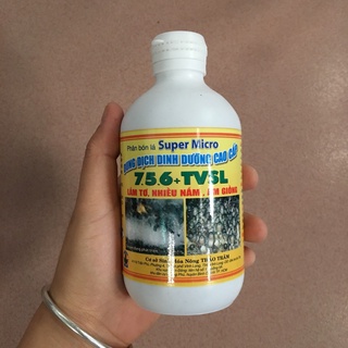 Dung dịch dưỡng nấm rơm cao cấp 7.5.6 8 Nha - Kích thích tơ nấm, làm ấm giồng
