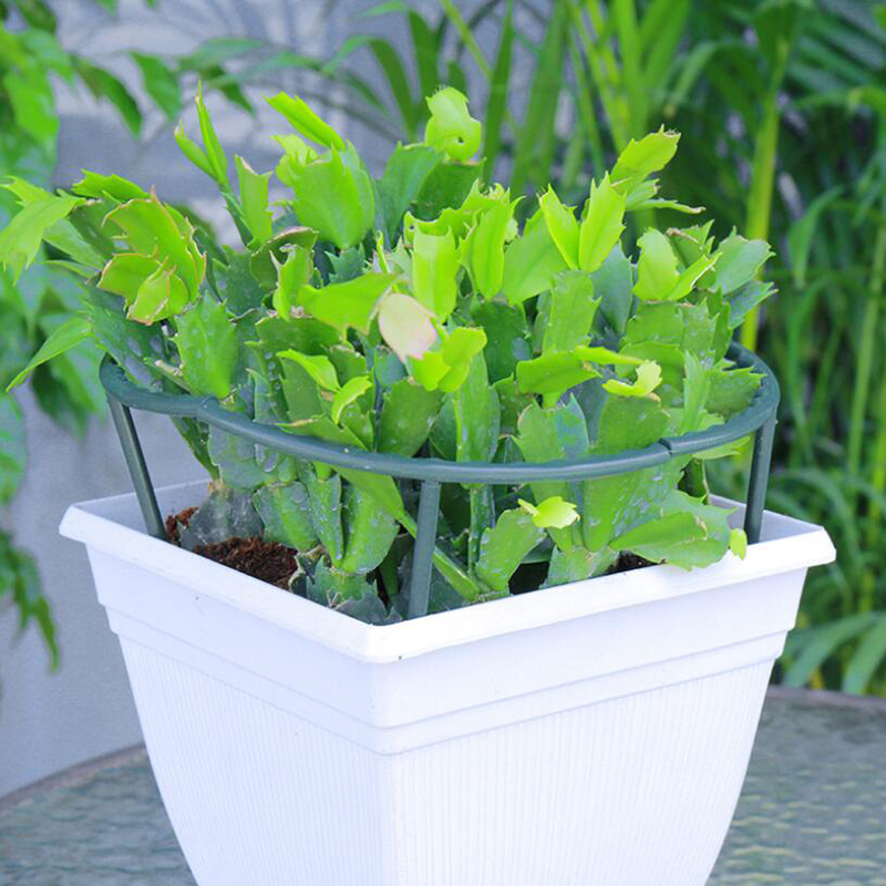 Giá Đỡ Cây Dây Leo Bằng Nhựa Tiện Lợi Dành Cho Vườn Nhà