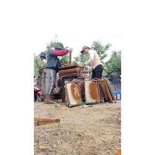 500ml Mật Ong Hoa Cà phê Đăk Lăk