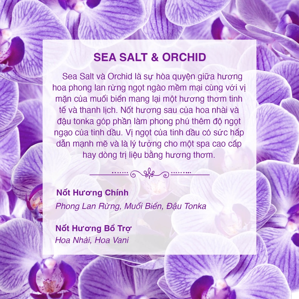 Tinh Dầu Phong Lan Muối Biển Nomad Signature Blend Oils - Sea Salt & Orchid