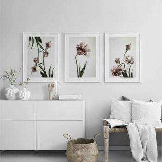 Tranh treo tường hoa 30*40 bộ 3 tranh