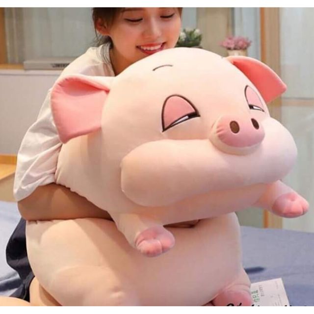 Heo mắt híp phê cần size 90 cm