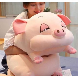 Heo mắt híp phê cần size 90 cm