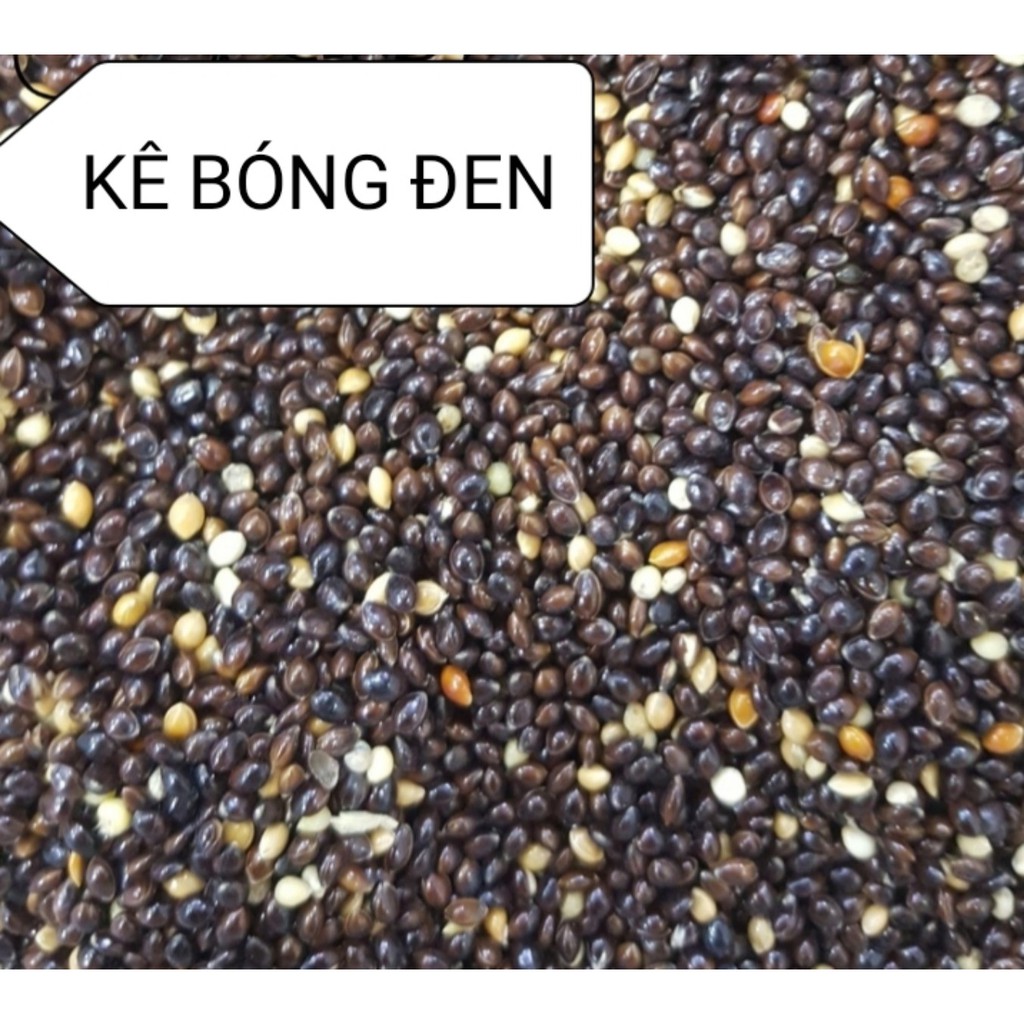 1KG KÊ BÓNG ĐEN CHO VẸT,YẾN PHỤNG,CU GÁY,BỒ CÂU,MANH MANH