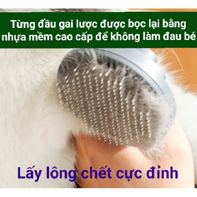 [Mã PET50 giảm 10% - tối đa 50K đơn 250K] Lược chải lông chó mèo cao cấp PakeWay T9 - 3 màu siêu đẹp (Hàng chính hãng)