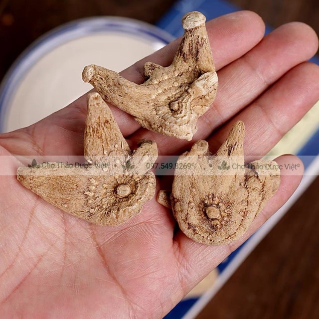 Bạch Cập 100g (Hàng Cao Cấp)