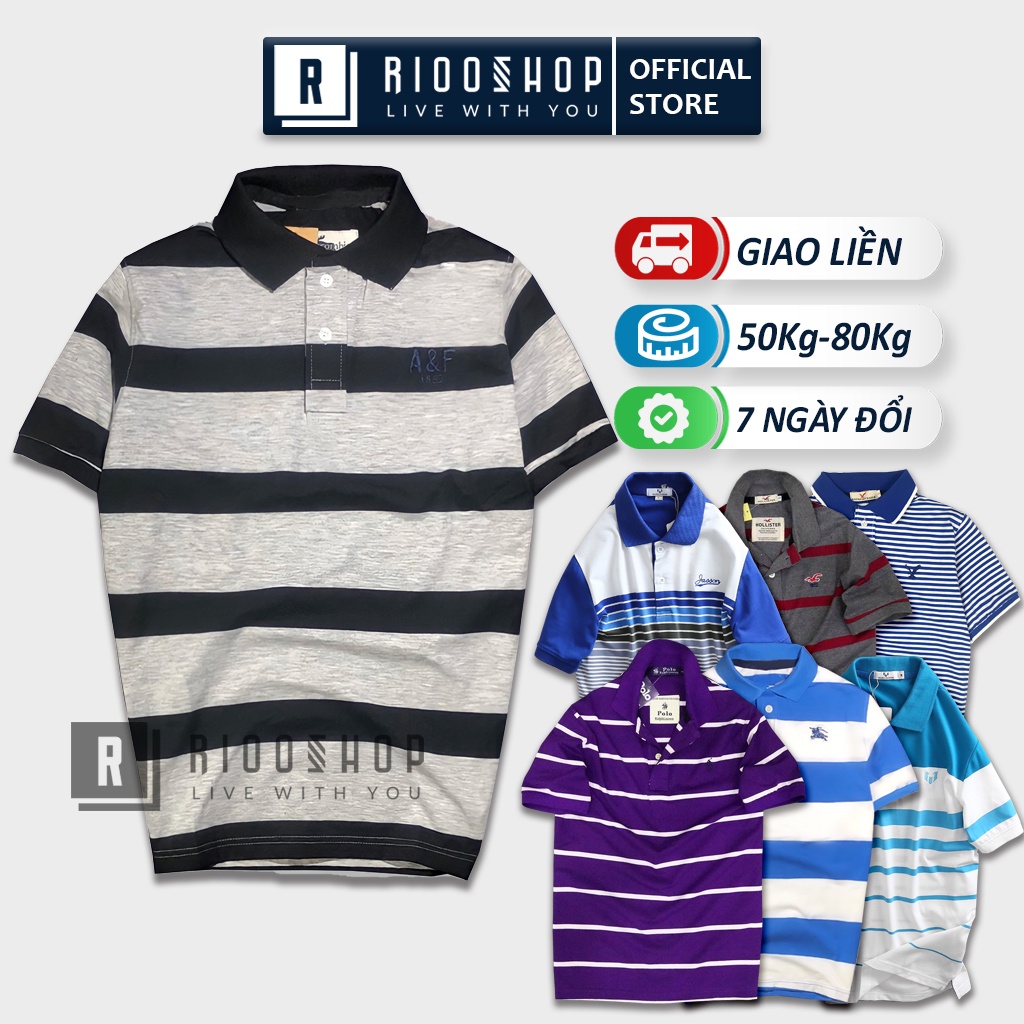 Áo thun nam tuổi trung niên RTH007 áo phông nam polo có cổ cho người trung niên sang trọng form rộng