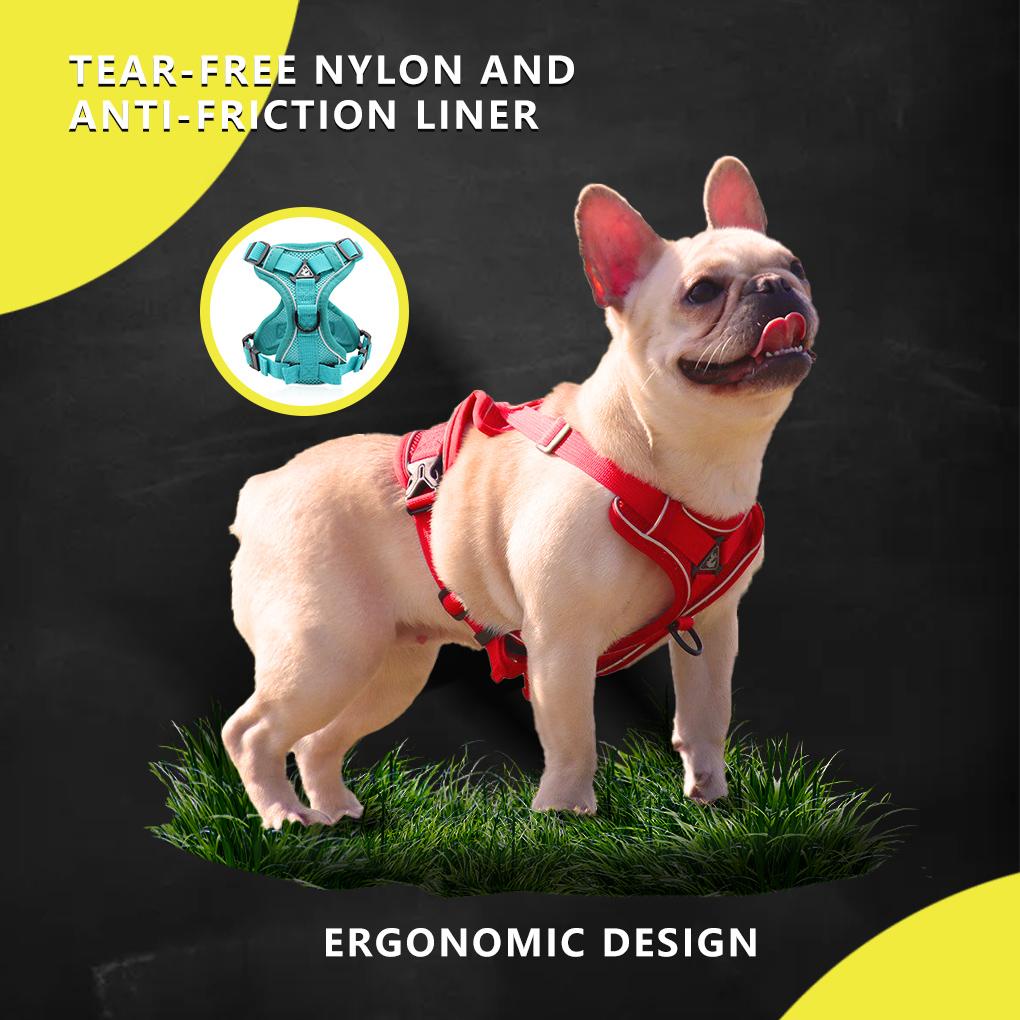 Dây Dắt Thú Cưng Đi Dạo Thiết Kế Phản Quang Thoáng Khí Tùy Chỉnh Tiện Dụng