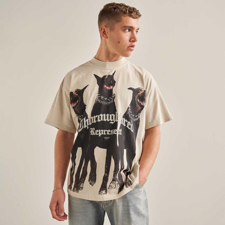 ⚡️ - Áo Tee REPRESENT Thoroughbred Vintage Cao Cấp Full Tag Túi, Áo Thun REPRESENT