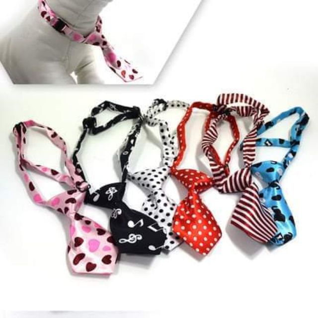 Vòng cổ gắn cà vạt dễ thương cho thú cưng / chó / cún / mèoo