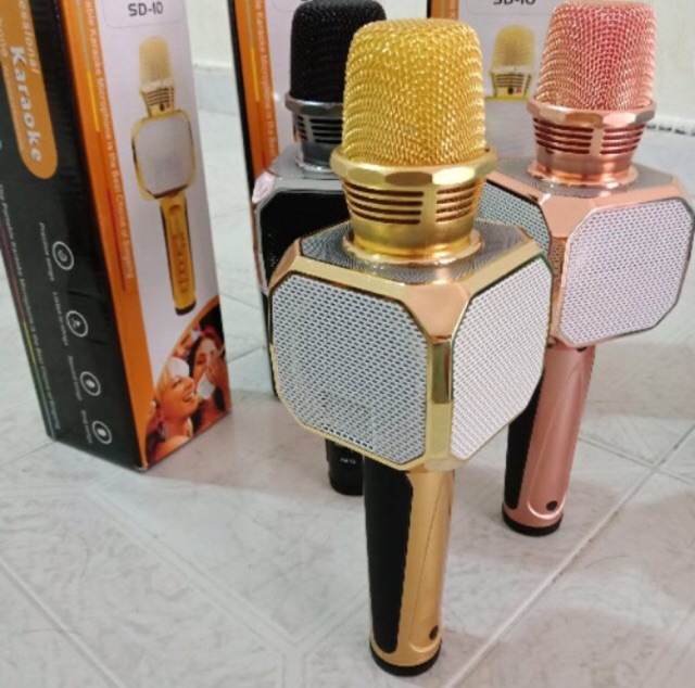 MIC KARAOKE KÈM LOA SD-10
