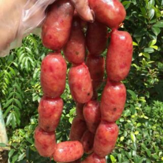 1kg Lạp xưởng nhà làm