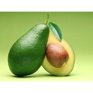 Bơ BOOT Di Linh thuần hưu cơ không thuốc BVTV