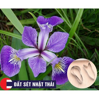 KHUÔN DẠY LÀM HOA ĐẤT SÉT HOA DIÊN VỸ IRIS HOA ĐƯỜNG, XÔI HOA ĐẬU, HOA BÁNH KEM, RAU CÂU