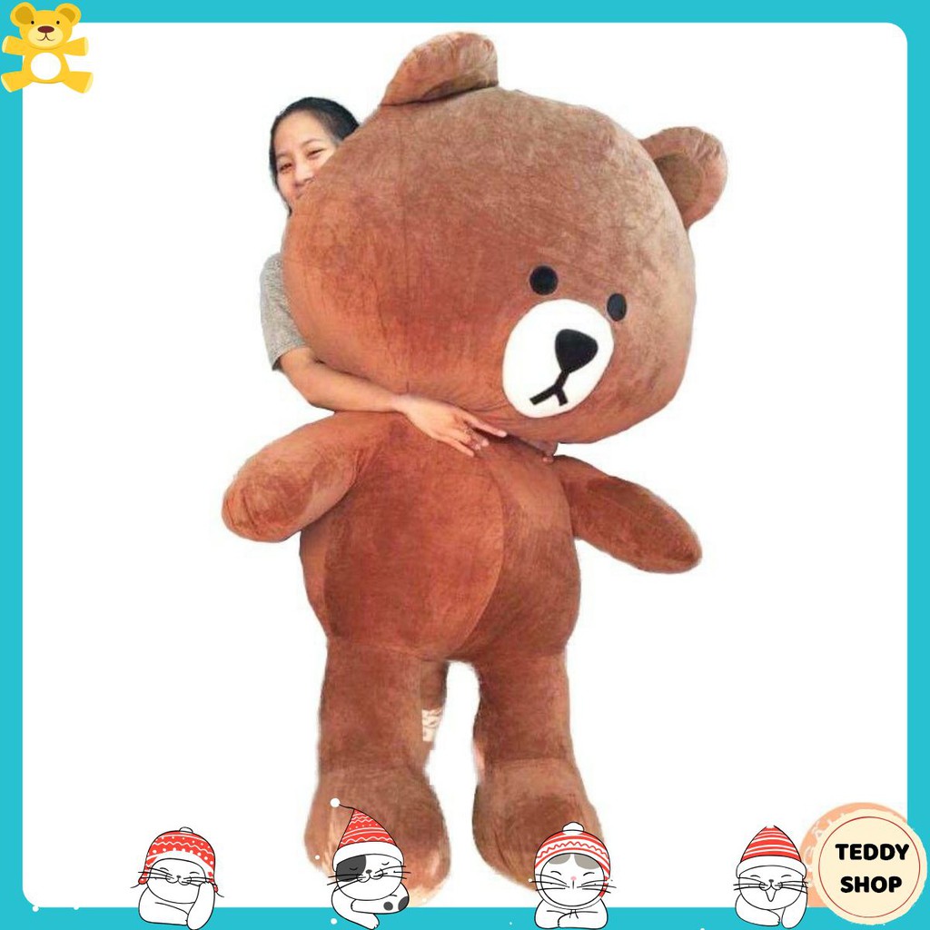 Gấu bông Brown khổ vải 1m6 hàng cao cấp siêu dễ thương - TeddyShop
