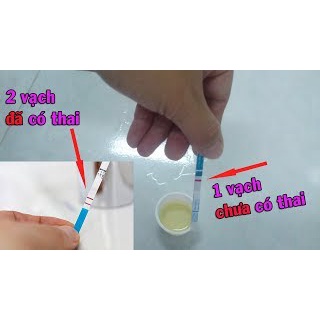 QUE THỬ THAI NELLY TEST (HỘP 1 QUE)