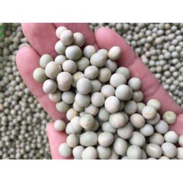 Đậu hà lan NonGMO - 500gr - Date: 8/2022