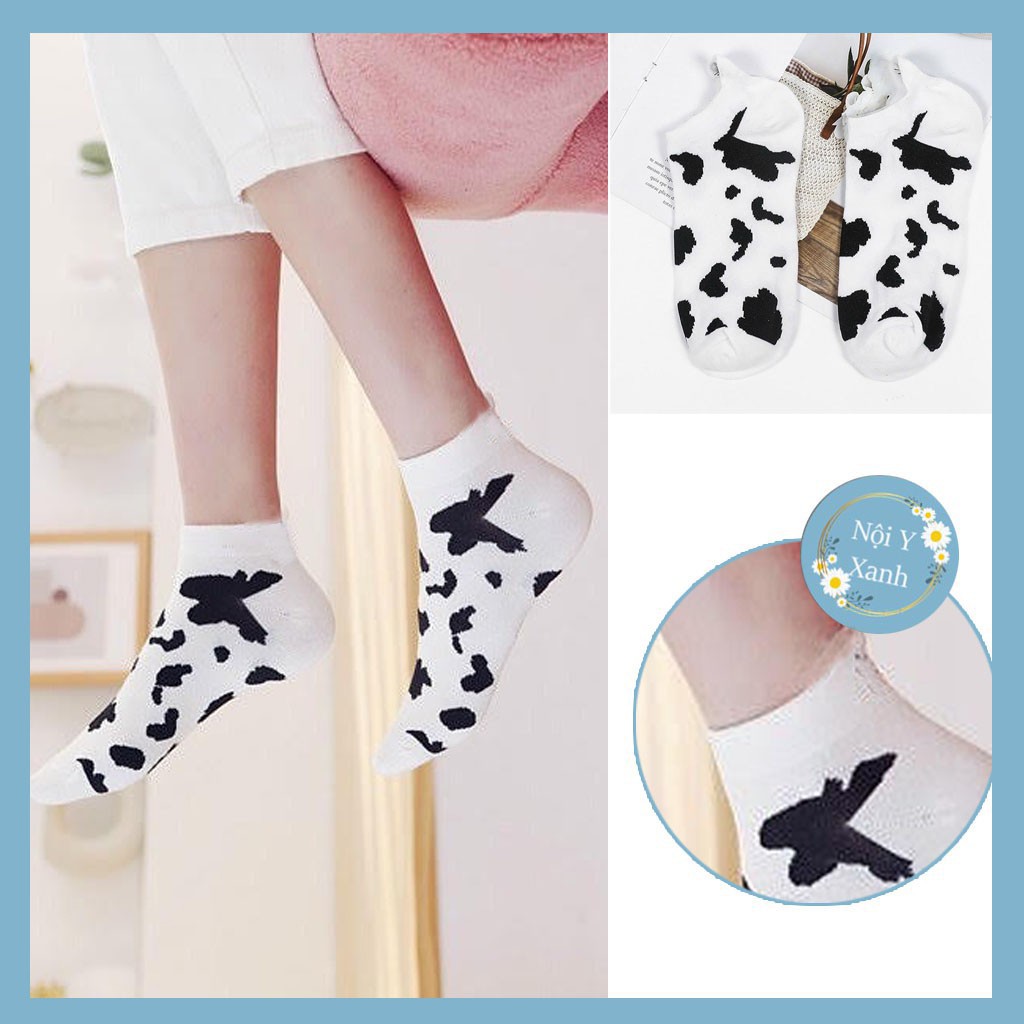 Tất nữ cổ ngắn cute hàn quốc, tất bò sữa cổ thấp cho nữ xinh xắn