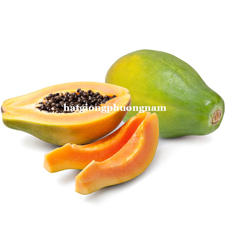 10H - HẠT GIỐNG ĐU ĐỦ RUỘT VÀNG