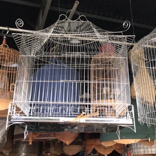 lồng inox yểng, vẹt