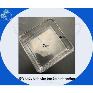 Đĩa đựng thức ăn cho tép hình vuông,khay đựng hình vuông cho tép