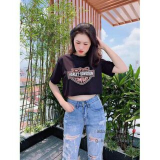 Áo Croptop in MOTTOR (Hình Thật)