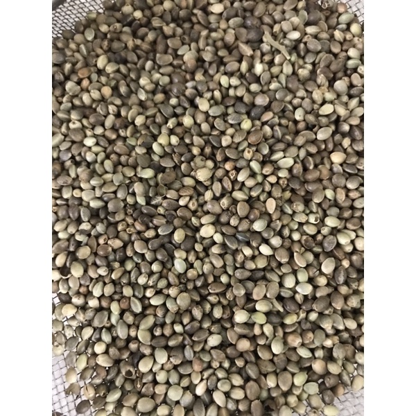 Hạt Láng Tròn ( Size Nhỏ )500g - 1Ký