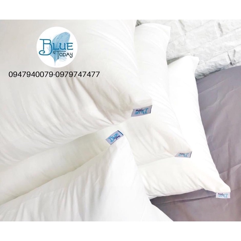 COMBO RUỘT GỐI 2 Nằm 50x70+1 ôm 35x105