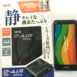 Sủi oxy gex 6000sb