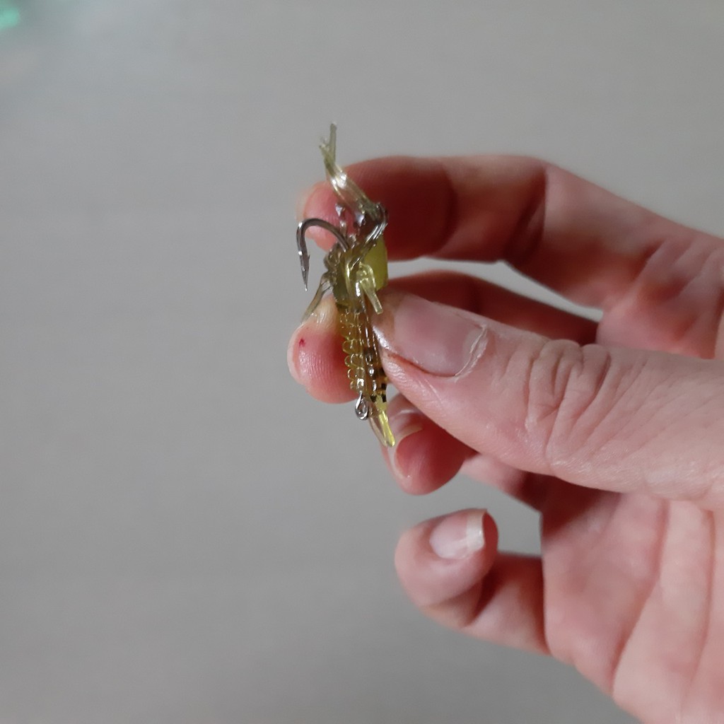 Mồi tôm câu cá