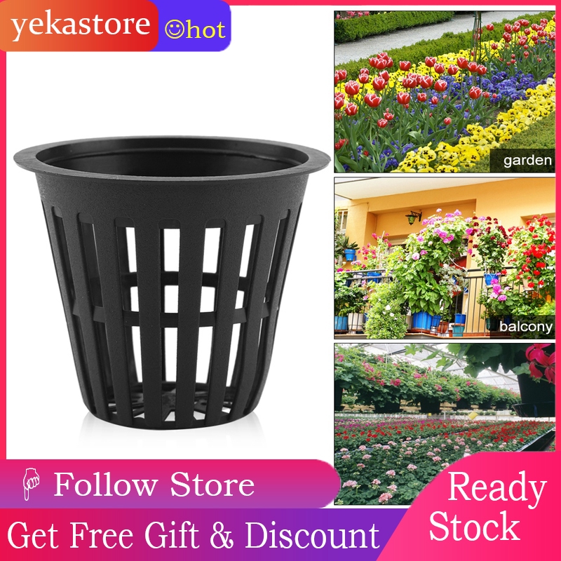 Set 10 Cốc Nhựa Trồng Cây Thủy Canh An Toàn Tiện Dụng