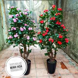 Cây hoa trà liền thân cao 1m6.Cây giả trang tri nhà cửa.Ko kèm chậu-Hoaluaminhhoa