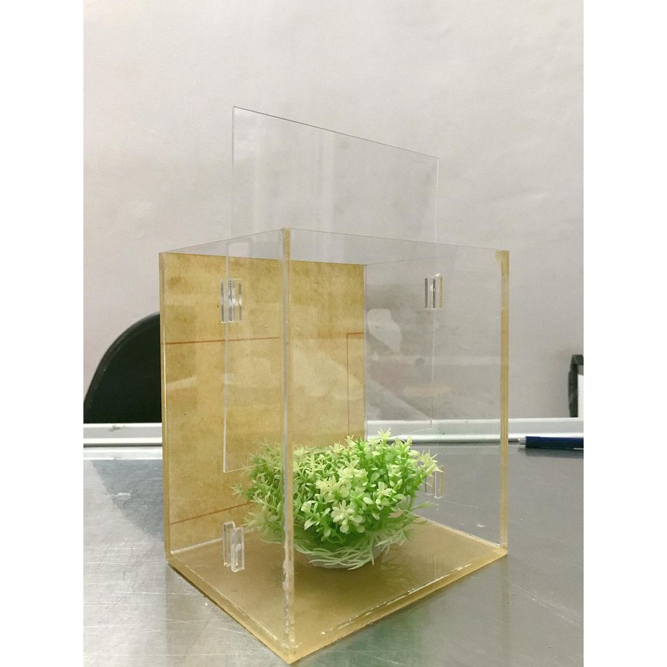 Hồ show cá 2 ngăn acrylic 15x12x17cm siêu trong cao cấp / bể show cá; keo show cá guppy, betta