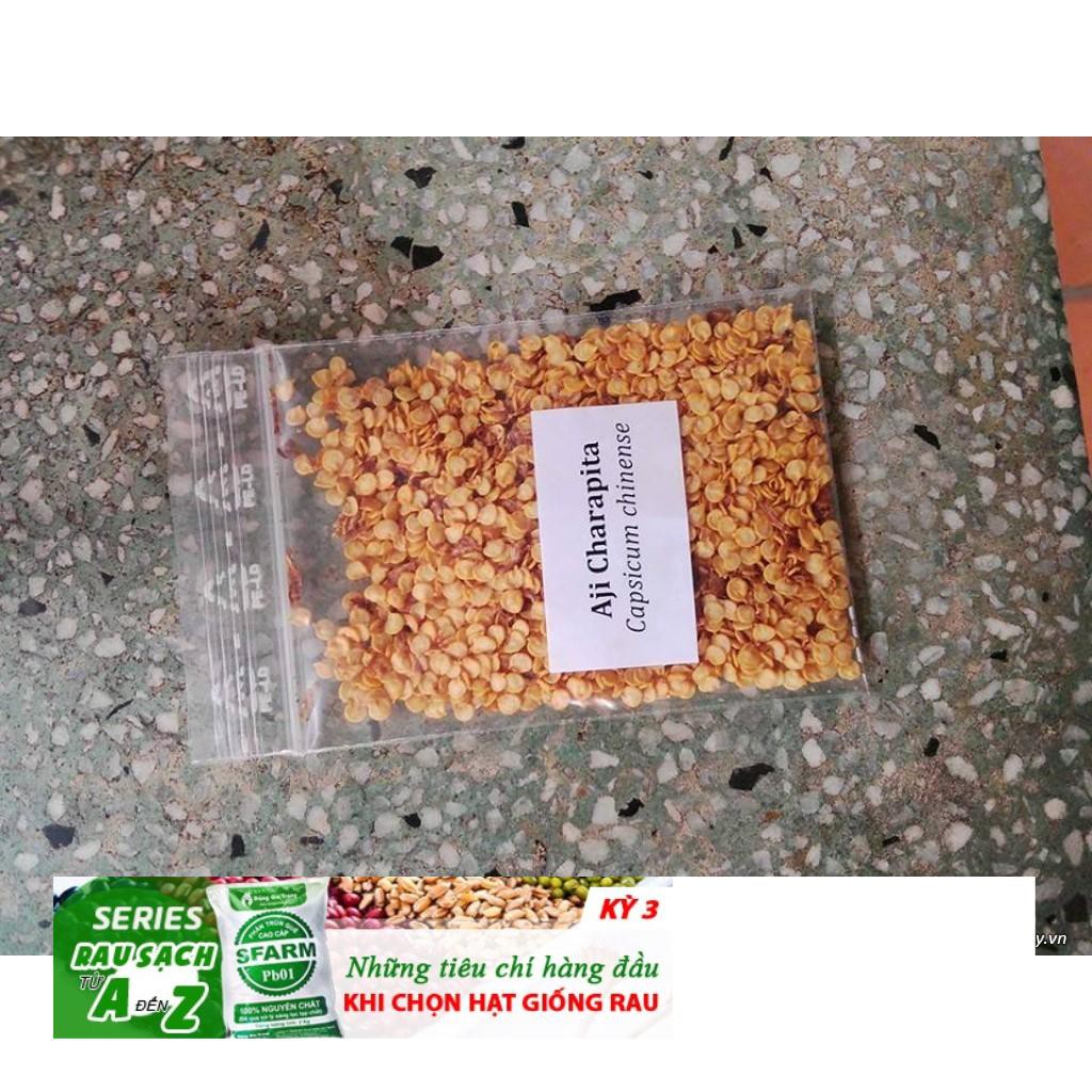 Gói 03 Hạt Giống Ớt Mắc Nhất Thế Giới Aji Charapita 570tr/kg Loại Ớt Ngon Và Đắt Nhất Thế Giới