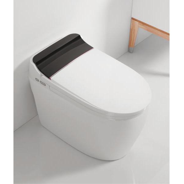 Bồn cầu thông minh Lotus Gold 17 - Smart Toilet Lotus Gold 17 chính hãng, Công nghệ Nhật Bản