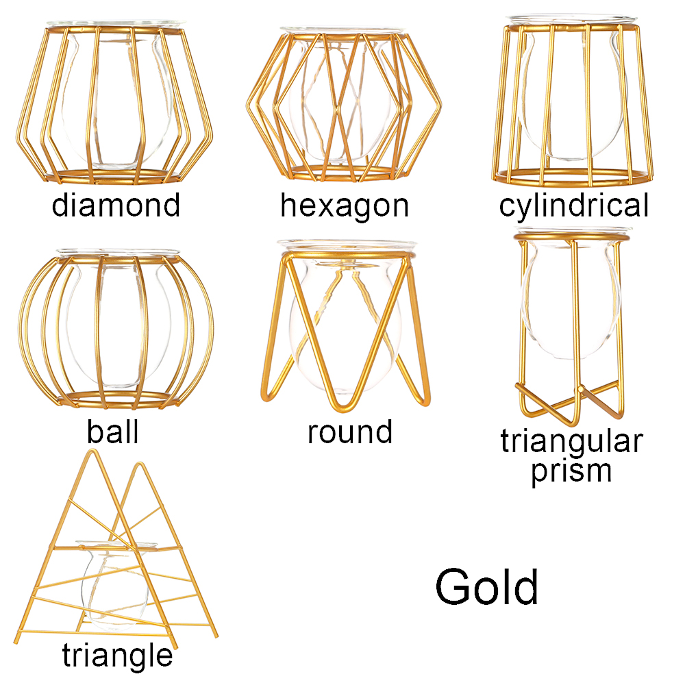 Bình Thủy Tinh Trồng Cây Trang Trí Sáng Tạo