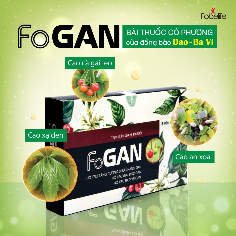 Viên Uống Cà Gai Leo Giải Độc Gan Bảo Vệ Gan Tăng Cường Chức Năng Gan FOGAN - Hộp / 20 viên