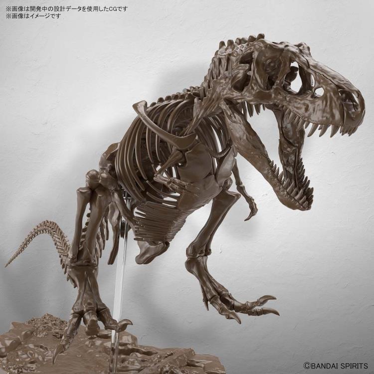 Mô Hình Lắp Ráp Khoa Học Khủng Long 1/32 Imaginary Skeleton Tyrannosaurus Bandai - GDC 4573102618009