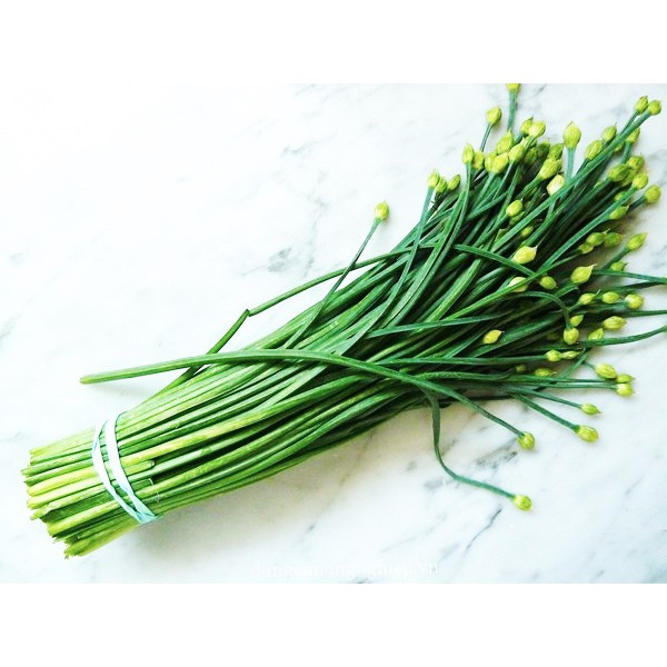 5 gram hạt giống rau hẹ bông
