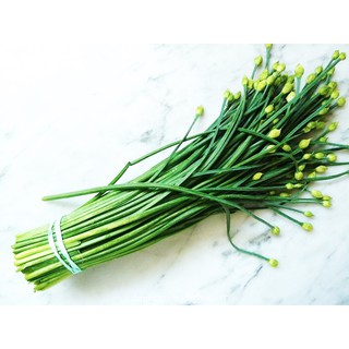5 gram hạt giống rau hẹ bông