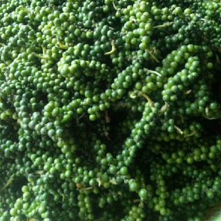 (500 gram) Tiêu xanh nguyên chùm chất lượng