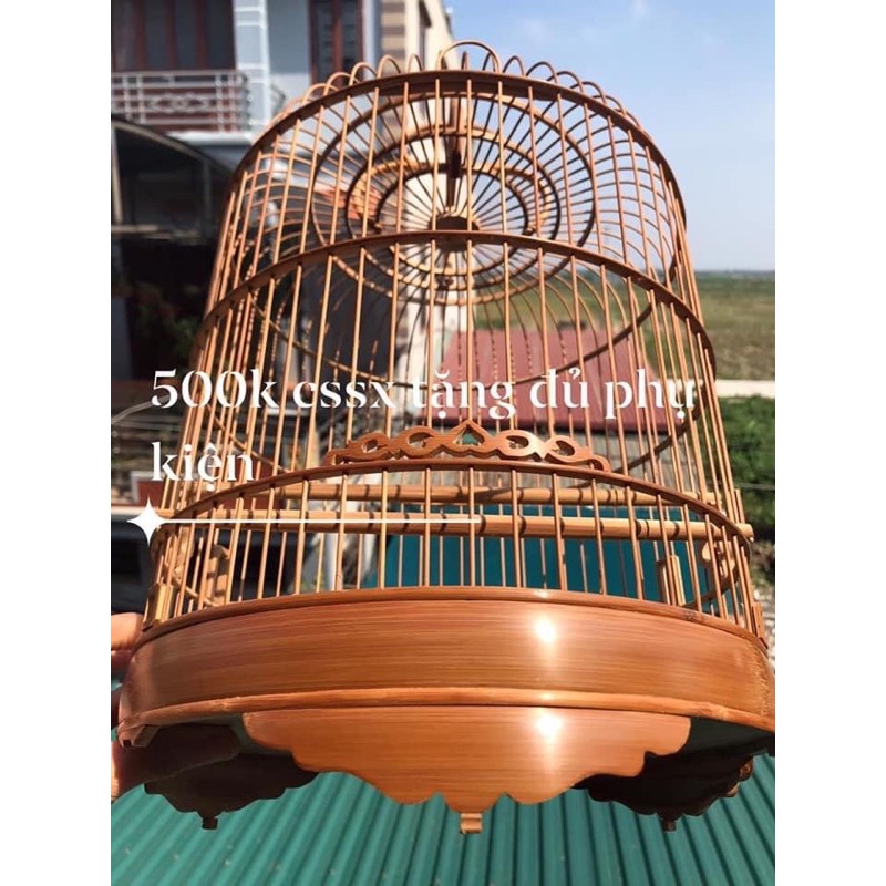 Lồng Yến  choè đất tiểu mi