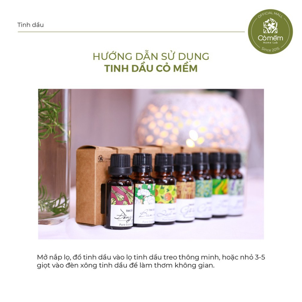 Tinh Dầu Hạt Mùi Già Thiên Nhiên Nguyên Chất Mang Tết Về Nhà Cỏ Mềm 5ml