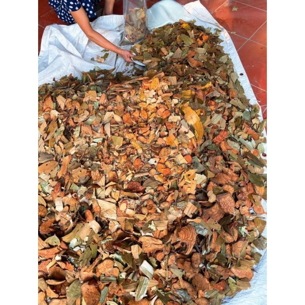 Lá tắm Dao đỏ sau sinh