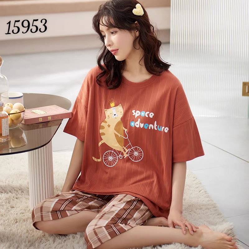 Bộ lửng BIG SIZE M è o  SL.QC 15953